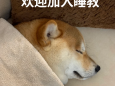 被失眠焦虑抑郁“纠缠”？麻醉睡眠治疗来“救场”