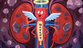 救命稻草 or 磨人小妖精？带你认识输尿管里的