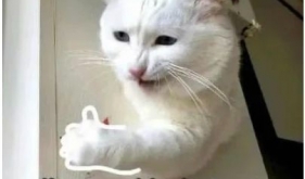 高龄患者，能否承受得住麻醉这一关？