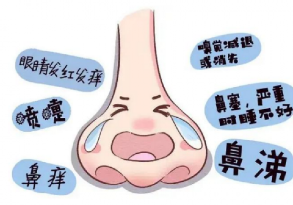 鼻子堵、眼睛痒还咳嗽？可能是过敏在作祟！