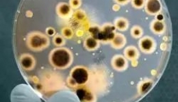 警惕夏天的“冷面杀手”