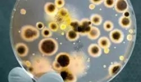 警惕夏天的“冷面杀手”