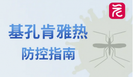 基孔肯雅热防控