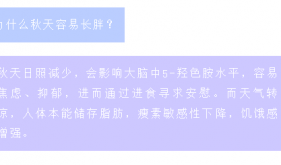 秋天减重秘籍：一篇教你科学瘦身！