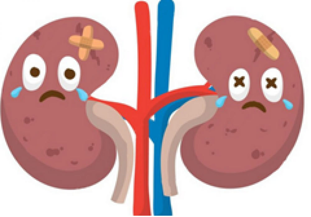 糖尿病与慢性肾脏病：不可不防的“甜蜜”负担