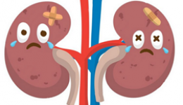 糖尿病与慢性肾脏病：不可不防的“甜蜜”负担