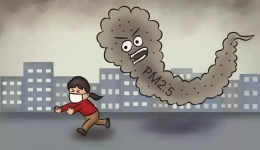 11月17日国际肺癌日|肺之“痛”，我们该如何保护肺？