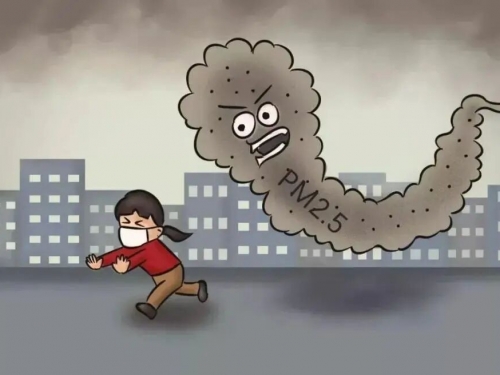 11月17日国际肺癌日|肺之“痛”，我们该如何保护肺？