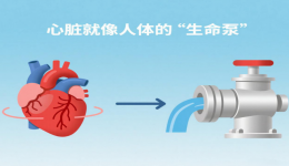 心力衰竭患者生存指南：从症状识别到日常护理的实用手册