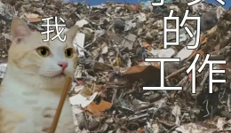 肥胖与代谢问题可以不动手术，挂这个门诊！