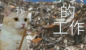 肥胖与代谢问题可以不动手术，挂这个门诊！