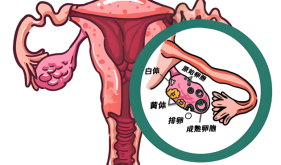 【女生必看】比痛经更可怕的，是月经周期中的这种“撕裂痛”！