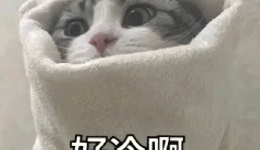 冷冬穿搭指南：中医+科学双buff，时髦不冻人