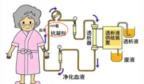 【健康科普・医路护航】血液透析中的“抗凝卫士”：奈莫司他（Nafamostat)