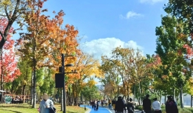 【健康科普・医路护航】科学晒太阳，给身体补点“自然能量”