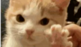 便民福利｜天府新区人民医院药品快递上线，不用苦等，配送到家！