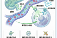 【健康科普・医路护航】科学控糖，健康护航 | 糖尿病科普知识