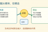 【健康科普・医路护航】别把尿酸高只等同于痛风：这些健康风险也要了解