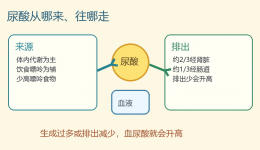 【健康科普・医路护航】别把尿酸高只等同于痛风：这些健康风险也要了解